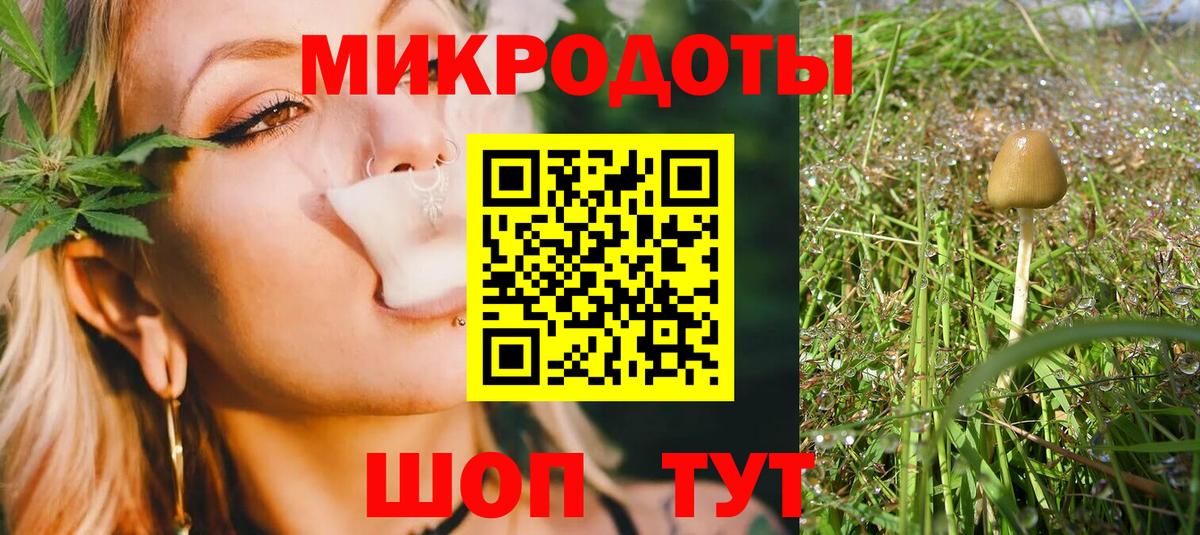 Галлюциногенные грибы Psilocybine cubensis Кемерово