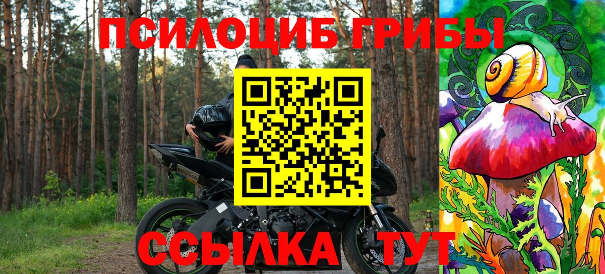Кемерово  Галлюциногенные грибы Psilocybe  Вход с VPN 